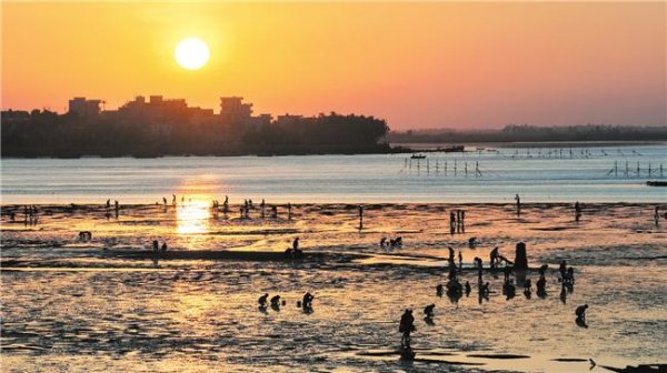 益丰配资 海口北港岛：邂逅朝阳与海同乐